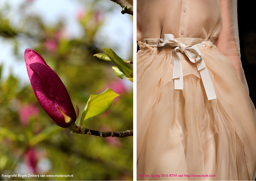 Modarium Think Pink moodboard 10 met een afbeelding uit de spring 2015 RTW collectie van Rochas en een bloemknop van een roze magnolia