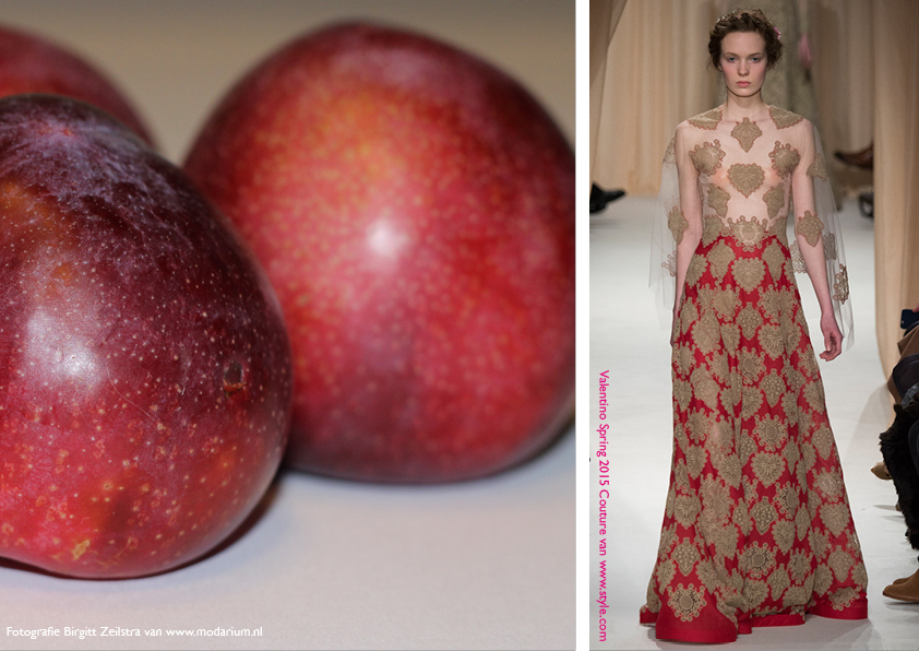 Modarium Think Pink moodboard 15 met een afbeelding uit de spring 2015 couture collectie van Valentino en rode pruimen