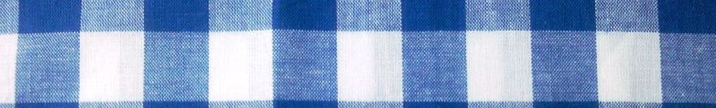 Modarium beeld van een Boeren bont ruit of Gringham ruit in blauw wit